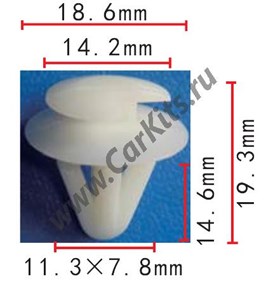 Изображение C61